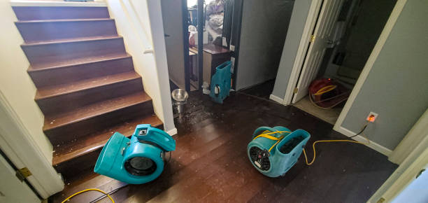 Best Flood damage cleanup  in Balch Springs, TX