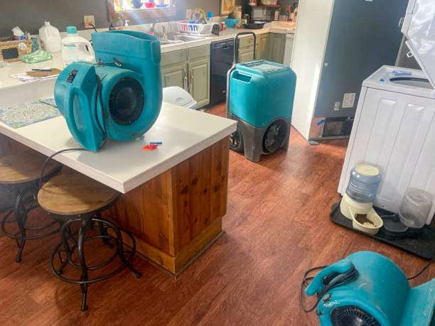  Balch Springs, TX Water damage restoration Pros