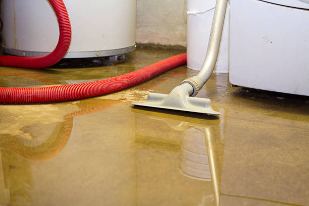 Best Commercial water damage restoration  in Balch Springs, TX