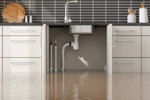 Water damage restoration experts in Balch Springs, TX