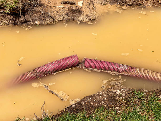 Best 24/7 water damage repair  in Balch Springs, TX