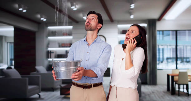 Best 24/7 water damage repair  in Balch Springs, TX