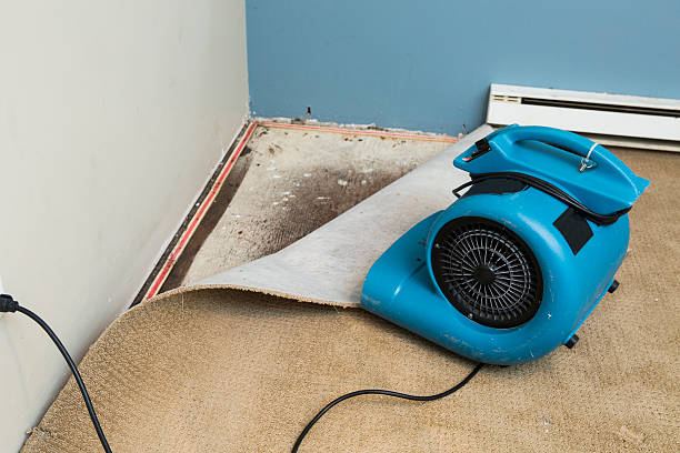 Fire Damage Restoration in Balch Springs, TX